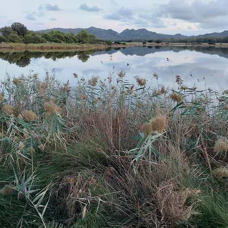 게스트하우스 Domoemare 시니스콜라