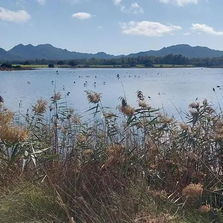 Domoemare 게스트하우스 시니스콜라