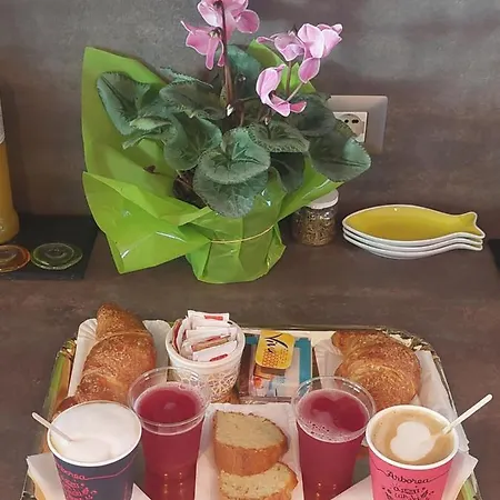 게스트하우스 Domoemare