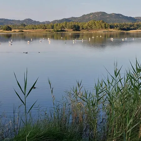 게스트하우스 Domoemare 시니스콜라