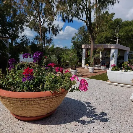 ゲストハウス Domoemare シニスコーラ